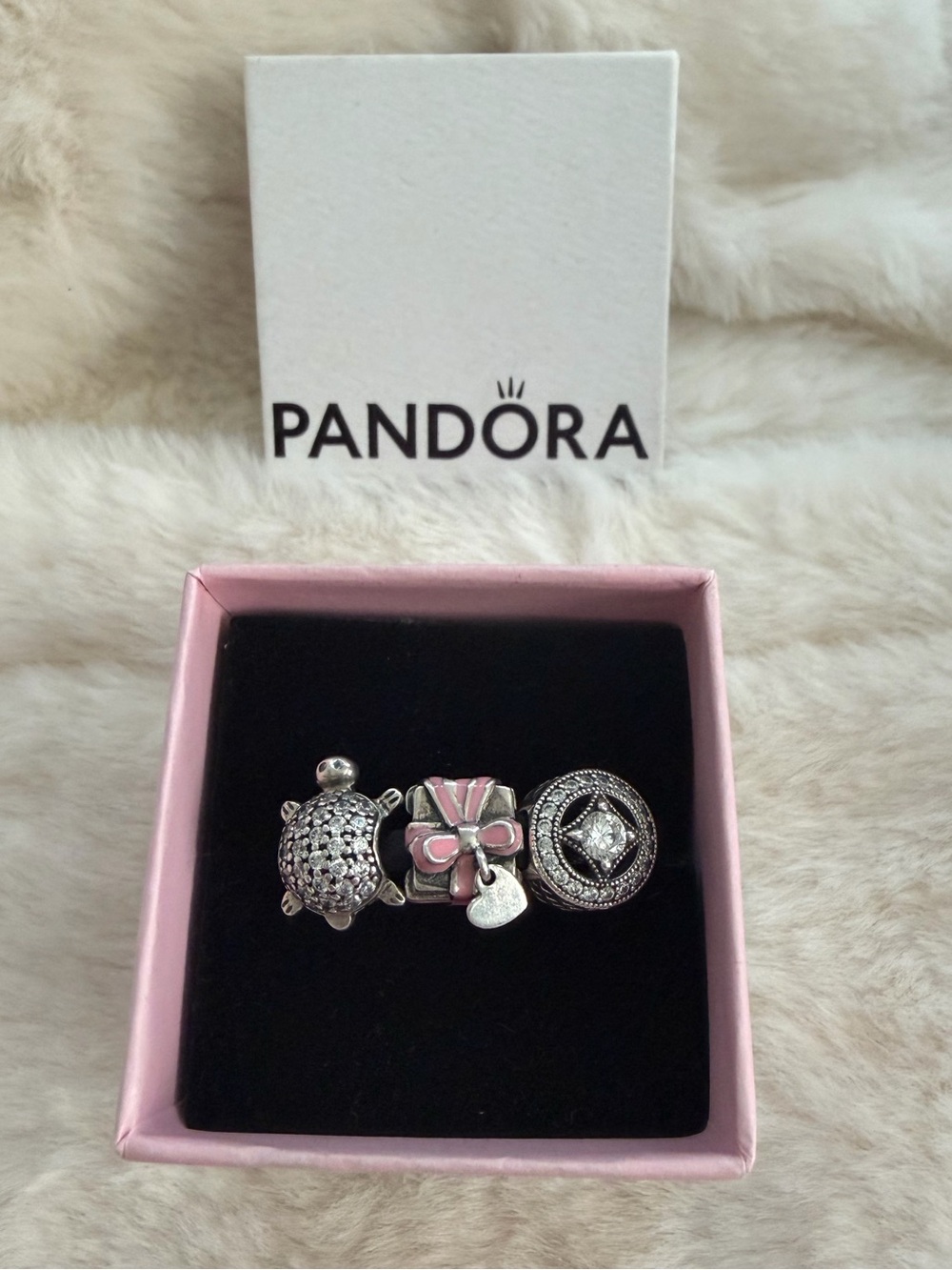 Pandora Charm Bundle